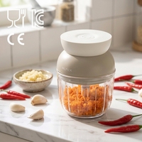 Mini elektrische voedselhakker, USB oplaadbaar, knoflookpers met roestvrijstalen mes, keukenhakmolen voor ui, groentepuree