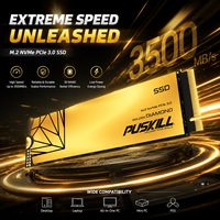 قرص صلب داخلي PUSKILL PCIe 3.0 NVMe M.2 SSD بسعات 256 جيجابايت و512 جيجابايت و1 تيرابايت، متوافق مع أجهزة الكمبيوتر المحمولة والمكتبية من إنتل وAMD
