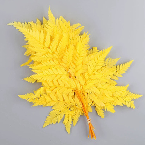 <span class=keywords><strong>Felce</strong></span> conservato naturale vera aracniodi bianco <span class=keywords><strong>cuoio</strong></span> <span class=keywords><strong>felce</strong></span> foglie fresche di <span class=keywords><strong>felce</strong></span> conservato fiori e piante - Product Image 2