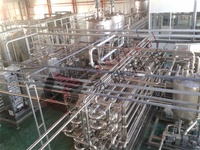 Automatische Semi-Automatische Mango Pulp Puree Mango Sap Making Machine Verwerkingsbedrijf Productie Lijn