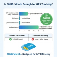 Tarjeta SIM 4G IoT para Rastreador GPS PC, 30MB Mensuales, Cobertura Global en Más de 190 Países, Activación Plug & Play, Plan Anual de 12 USD