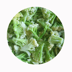 XMSD Chou-fleur surgelé <span class=keywords><strong>IQF</strong></span> pour soupes, accompagnements et sautés, certifié HACCP ISO, export en vrac - Product Image 6