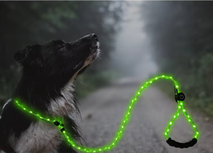 2025 Set kerah & timbal anjing LED mode mewah desain baru tali bulat fitur dapat disesuaikan untuk anjing kucing bahan poliester padat - Product Image 5