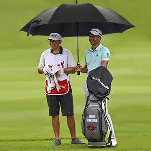 DD2704 Large Print Logo Automatic Golf Umbrella Rain Sun Wood Handle Umbrellas Gift Windproof Advertising Umbrellas