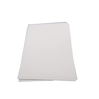 Feuilles PET imprimables Papier DTF A3 Plus A3+ 13 pouces 13\" X 19\" Film de transfert thermique PET DTF 13X19 pour Epson