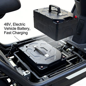Paket Baterai LiFePO4 48V 30Ah dengan Siklus Hidup Panjang untuk Kendaraan Listrik 2-Roda/3-Roda - Product Image 2