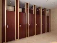 Cloison de toilette compacte moderne en stratifié imperméable pour hôtel, avec un design durable et écologique pour salle de bain et vestiaire