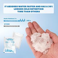 Pack de glace sèche en gel pour glacière alimentaire jetable en plastique personnalisable avec logo, feuille de congélation avec logo pour boîte à lunch