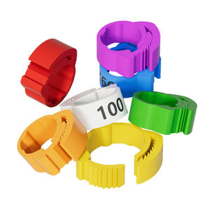 Renda Plastic Gevogelte Voetring Kip/Eend/Ganzenmerk Identificatiering Met Gesp Type Drager Voor Duivenmodel RD-10-588 - Product Image 5