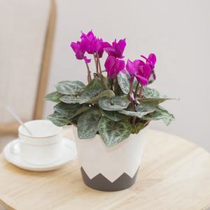 Macetas <span class=keywords><strong>de</strong></span> plástico artificiales para el hogar, maceta <span class=keywords><strong>de</strong></span> macetas <span class=keywords><strong>de</strong></span> estilo nórdico, ideal para balcón y el hogar - Product Image 4