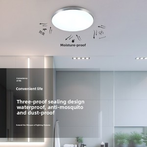 Plafonnier LED Moderne Minimaliste Étanche IP54 Trois-Preuve pour Salon Aluminium Décoration de la Maison pour Entrée Balcon Toilette - Product Image 2