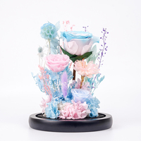 Roses multicolores préservées en gros avec fleurs dans un verre pour la Saint-Valentin, cadeau pour la fête des mères