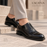 Chaussures habillées italiennes en cuir PU à lacets pour hommes CACATUA, marron, pour mariage, bureau, respirantes, rehaussantes