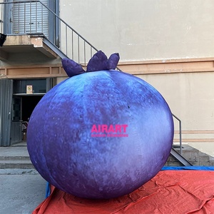 Ballons Publicitaires Gonflables en Tissu Oxford 420D, Ballon Myrtille Gonflable de Haute Qualité 3M - Product Image 4