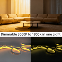 PWM Control Gradation 24V IP68 Lumière Ambiante Top Bending Dim to Warm Ra95 Silicone Neon LED Étanche Façade Plafonnier Intérieur