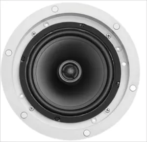 Populaire Professionele Plafond Luidspreker Geluidsapparatuur Mini Speaker Hoorn Accessoires 5 Inch Plafond Audio Home Studio