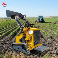 EURO5 CE EPA Cina produsen Mini selip Steer Loader 500 KG Crawler Loader Euro5/EPA mesin Parker pompa hidrolik pompa cepat