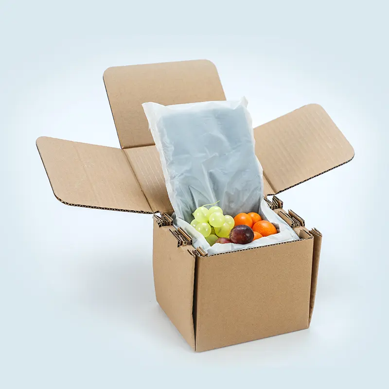 食品包装用のカスタム印刷断熱フォーム配送ボックスカートンクーラーバッグミートボックス段ボール魚輸送ボックス