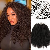 Extensions de cheveux synthétiques Afro Kinky Curly pour tresses au crochet, 3ème génération, invisibles, petites boucles en spirale, permables, pour femmes