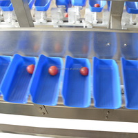 Plc Selectie Kersengroente Weegsorteerder Fruit Groente Sorteerapparatuur Roterende Schijf Gramgewicht Sorteermachines
