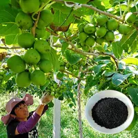 100% solubile in acqua a basso prezzo condizionatore di terreno fertilizzante organico super potassio umato