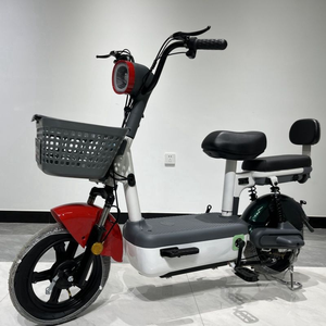 Bicicleta Eléctrica Urbana Económica de 500W 48V, sin Escobillas, 3 Velocidades, Doble Asiento, Cuadro de Acero Reforzado, Batería de Plomo-Ácido - Product Image 1