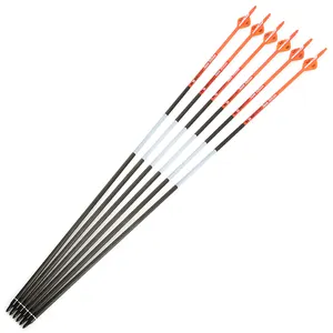 Hunting Bow Spine 300 Pure Carbon Arrow 31 Inches For Compound/Recurve Bow And Arrow Archery