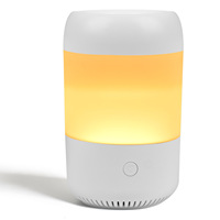 Diffuseur d'huiles essentielles à ultrasons, type brume, lumières colorées, lampe à huile essentielle, silencieux, pour la maison, le bureau, la chambre à coucher