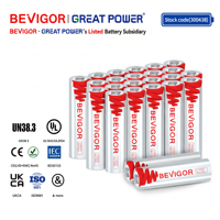 Piles au lithium primaires AA BEVIGOR 1,5 V, capacité nominale 3000 mAh, longue durée de vie, étanches, certifiées CE/RoHS, pour compteurs NB LoT LoRa