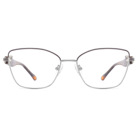 Lunettes de vue classiques pour femmes 2025, monture en métal, branches larges en acétate, diamants, design de créateur, monture optique tendance Haoya LE6491