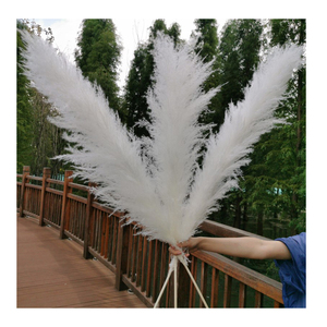 Vaso alto <span class=keywords><strong>per</strong></span> fiori vaso in ceramica bianca <span class=keywords><strong>per</strong></span> la decorazione domestica pampa erba Boho vaso decorazione della casa - Product Image 6