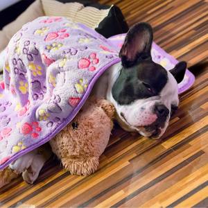 <span class=keywords><strong>Manta</strong></span> de viaje personalizada al por mayor, Alfombra de lana <span class=keywords><strong>para</strong></span> <span class=keywords><strong>perros</strong></span>, mantas con estampado de pata, <span class=keywords><strong>manta</strong></span> navideña de felpa <span class=keywords><strong>para</strong></span> mascotas acogedora - Product Image 4