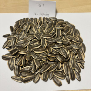 بذور عباد الشمس الجامبل عالية الجودة بالجملة بذور البطيخ - Product Image 3