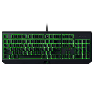 Clavier de jeu mécanique Blackwidow Essential : interrupteurs verts - tactiles &amp;   Claviers Blackwidow Essential avec rétroéclairage LED - Product Image 1
