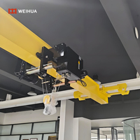 Grúa aérea Henan Weihua Control remoto 1-32ton Low Headroom NLX modelo europeo grúa aérea de una sola viga precio