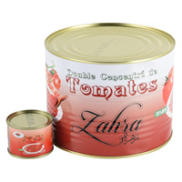 Pâte de tomate économique à double concentration Brix 28-30%