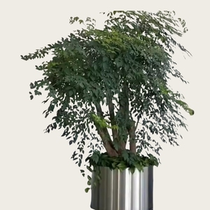 Lussuosa Fioriera Rettangolare Personalizzata in Acciaio Inossidabile Impermeabile per Parchi e Giardini - Product Image 5