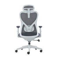 Chaise de bureau ergonomique moderne confortable meilleure chaise pivotante ergonomique à dos en maille chaise pivotante 2D haute réglable chaise pivotante grise