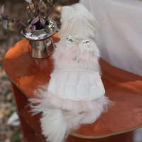 Robes classiques brodées de qualité supérieure pour chiens, chats et mini-animaux de compagnie, en polyester respirant et confortable, style princesse, pour l'export.