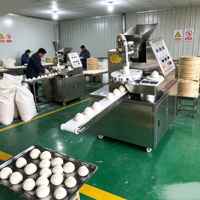 Machine de traitement de mochi la mieux notée, petite machine à encrustage, machine à mouler les Kubba, Baozi, Dimsum, Siopao et pains vapeur, en promotion