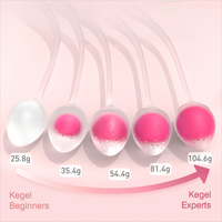 Ensemble de boules de Kegel en silicone S-Hande, boules Benoit Ben Wa, appareil d'exercice de Kegel, appareil d'exercice du plancher pelvien et des muscles abdominaux pour femmes