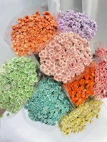 Vente flash Fleurs séchées Bouquets naturels Décoration florale exotique Pot-pourri