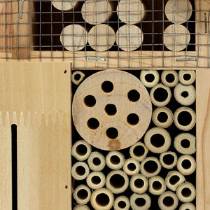 Koleksi <span class=keywords><strong>Kit</strong></span> jendela dalam ruangan, dekorasi liar Modern, rumah serangga kayu lebah madu - Product Image 4