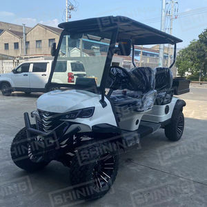 Chariot de golf de marque brillante avec boîte de chargement 500kgs personnalisation de soutien - Product Image 2