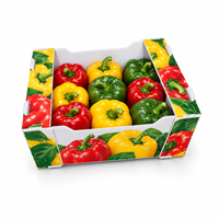 Boîte d'emballage personnalisée en PP ondulé pour légumes 500x270x270mm 3.5mm 850GSM avec impression sérigraphique et fentes de ventilation