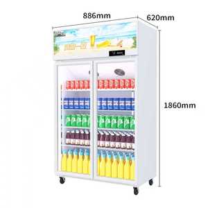 Enfriador de Bebidas Vertical, Equipo de Refrigeración para Cola, Refrigerador Metálico con Puerta Corredera de Vidrio, Refrigerador para Bebidas Frías Coca-Cola - Product Image 2