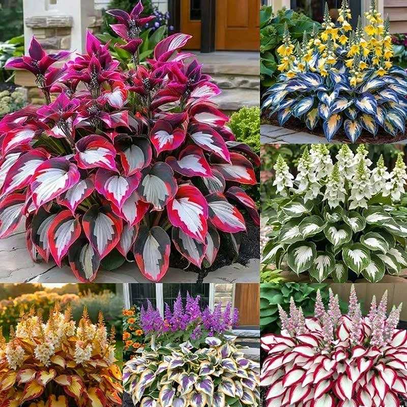 4# การผสมสี