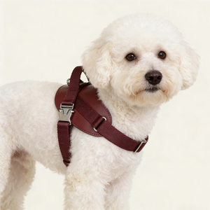 Arnés de Cuero Ajustable, Suave y Duradero para Perros Pequeños, Medianos y Grandes, para Paseos al Aire Libre - Product Image 1