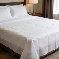 Drap de lit jetable moderne, non tissé, imperméable, écologique, personnalisé pour hôtel et massage