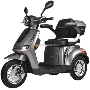 Scooter électrique convertible pour seniors, <span class=keywords><strong>moteur</strong></span> 48V 600W, vitesse maximale 45 km/h, direction à gauche, batterie 48V20AH, capacité de charge 200 kg - Product Image 6